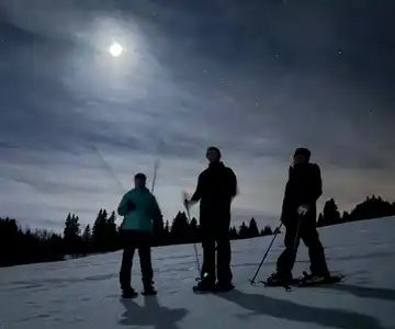 raquette fondue le grand bornand